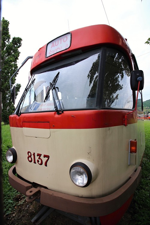 Tatra T3 #8137