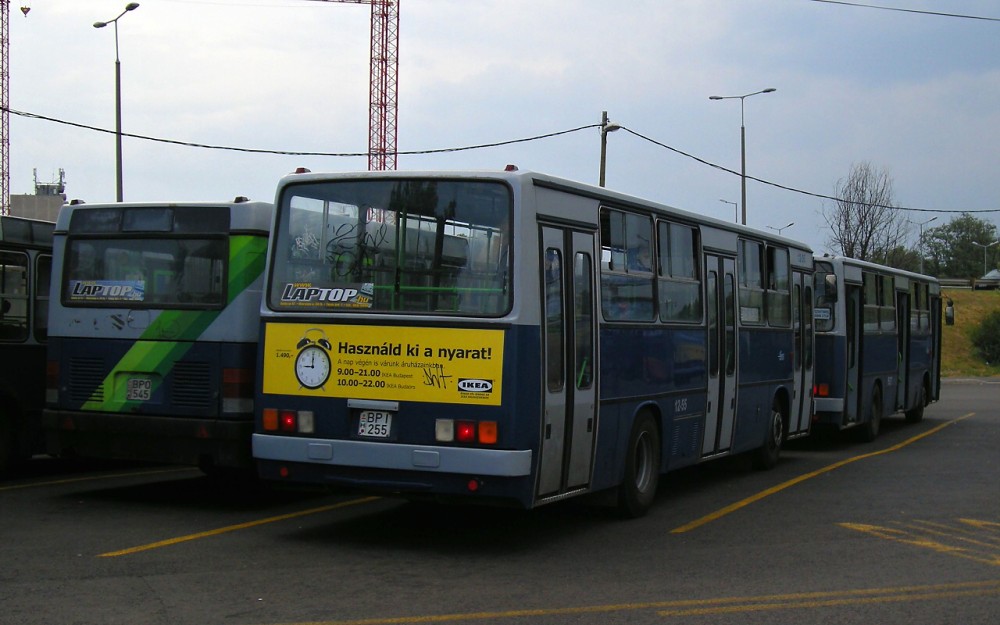 Ikarus 260 #BPI-255