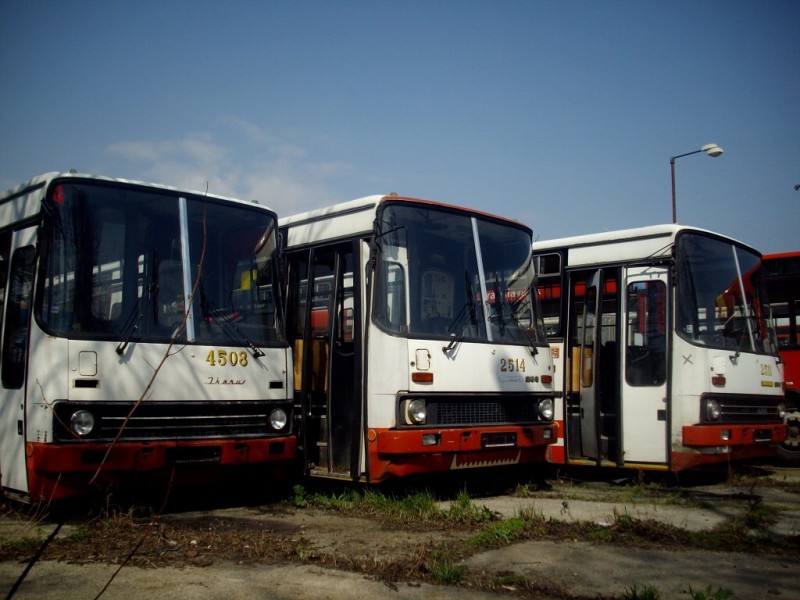Ikarus 283 #2514