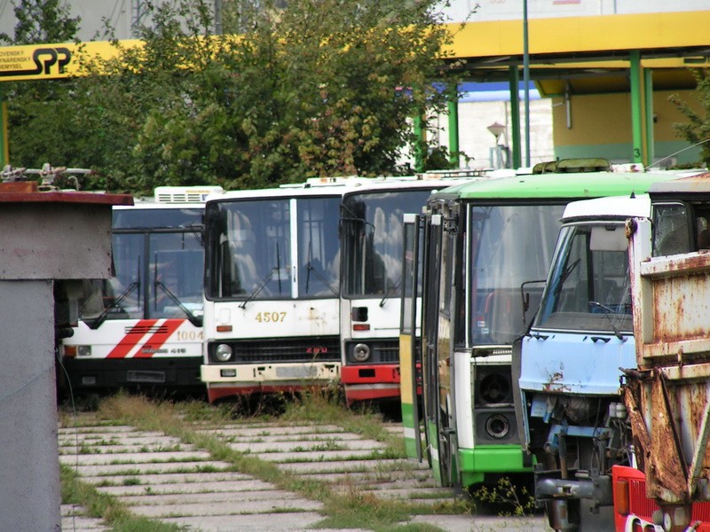Ikarus 415 #1004
