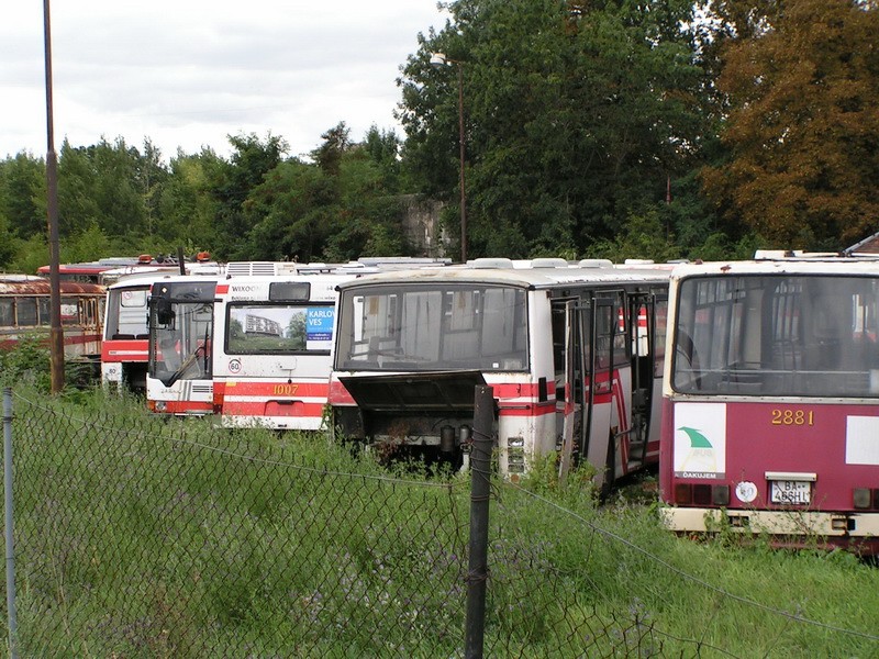 Ikarus 415 #1007