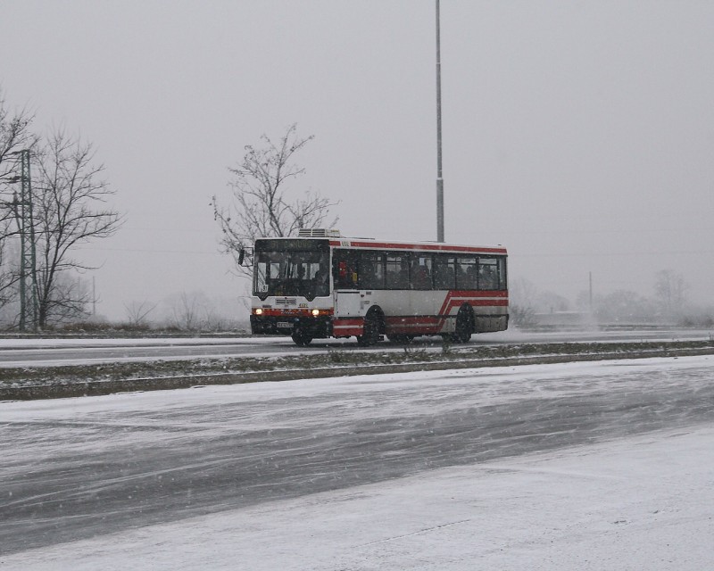 Ikarus 415 #4102