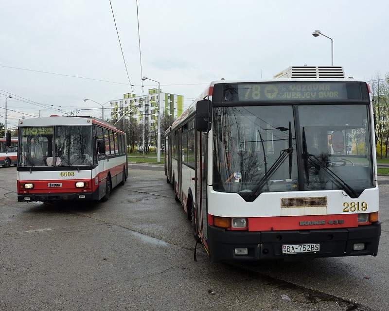 Ikarus 435 #2819