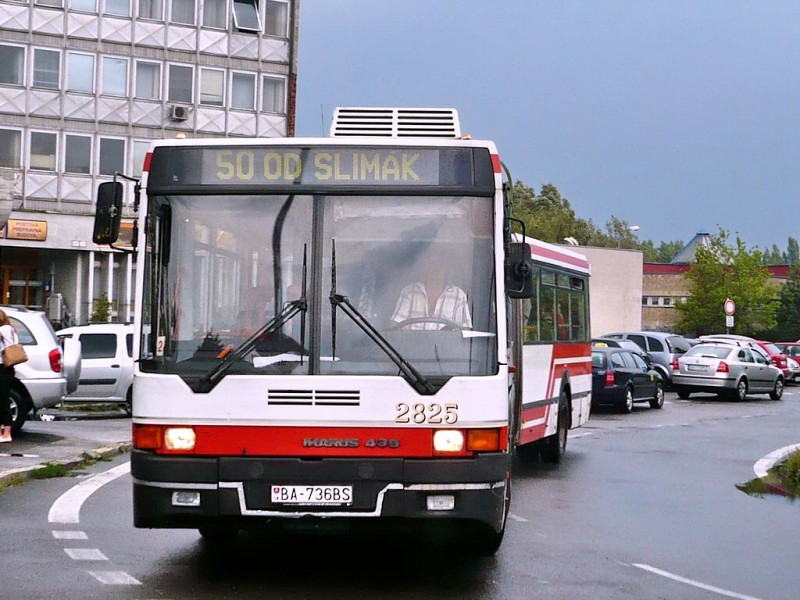 Ikarus 435 #2825