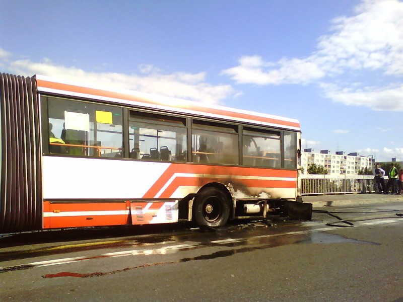 Ikarus 435 #2829