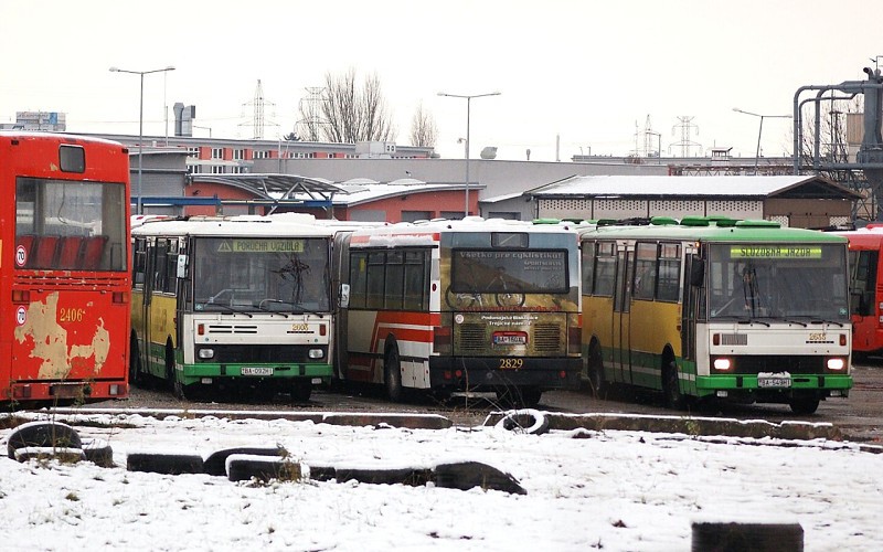 Ikarus 435 #2829