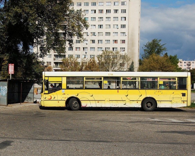 TAM 232 A 116 M #3701