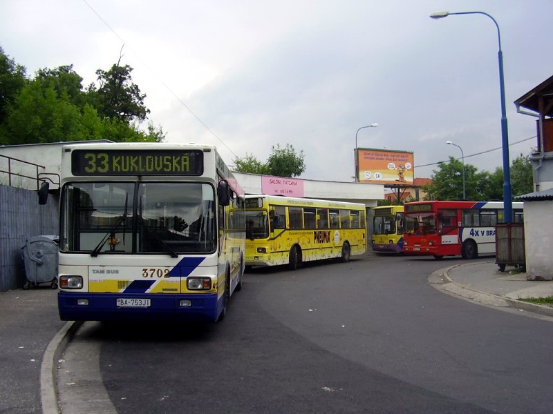 TAM 232 A 116 M #3702