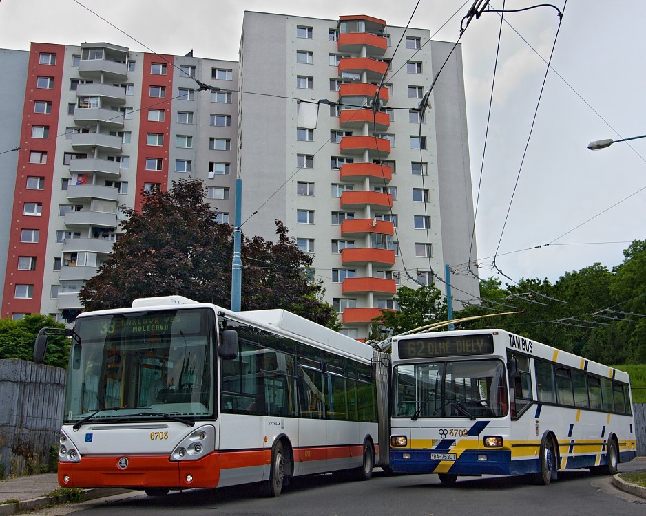 TAM 232 A 116 M #3702