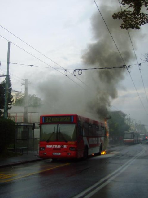 TAM 232 A 116 M #3706
