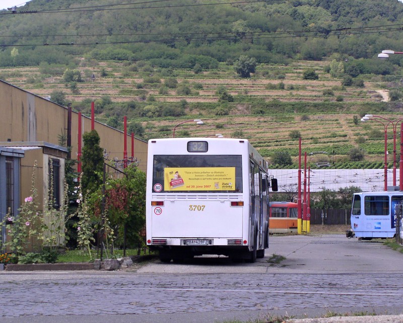 TAM 232 A 116 M #3707